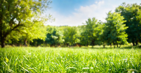 Similar image 21805174