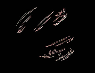 Similar image 21792410