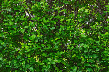 Similar image 21804534