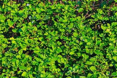 Similar image 21804535