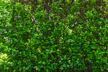 Similar image 21804536