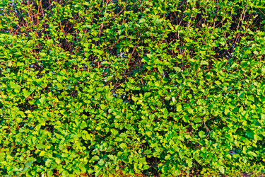 Similar image 21804538