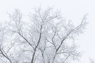 Similar image 21804541