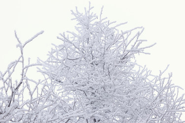 Similar image 21804542