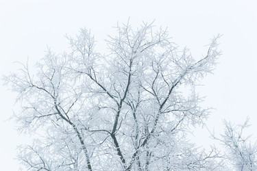 Similar image 21804544