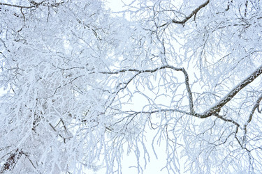 Similar image 21804548