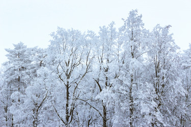 Similar image 21804640