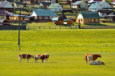 Similar image 21804833