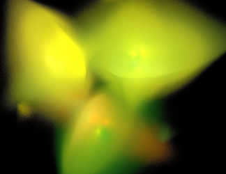 Similar image 21792591