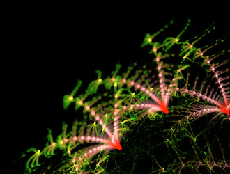 Similar image 21803928