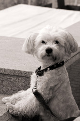 Similar image 21793410