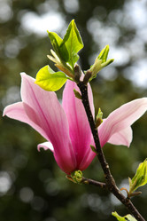 Similar image 21793411