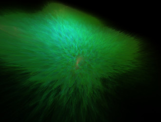 Similar image 21803937