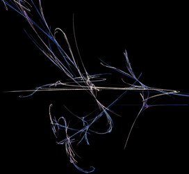 Similar image 21794582