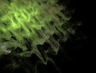 Similar image 21795262