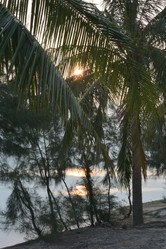 Similar image 21792619