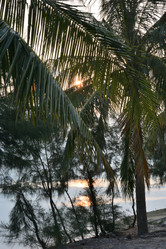 Similar image 21792620