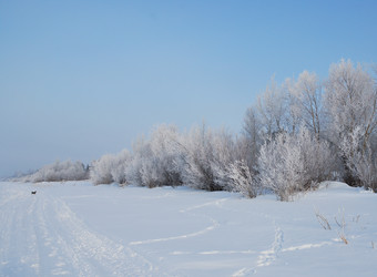 Similar image 21792632