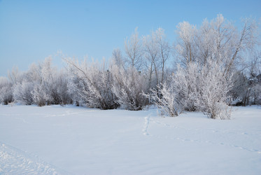 Similar image 21792635