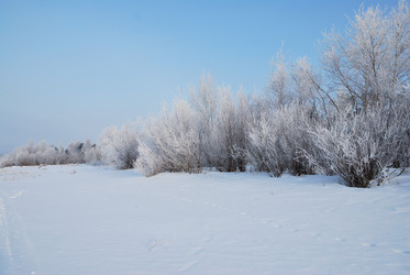 Similar image 21792637