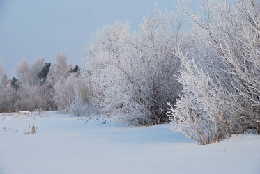 Similar image 21792641