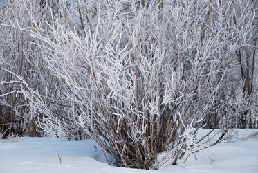 Similar image 21792643