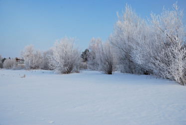 Similar image 21792646