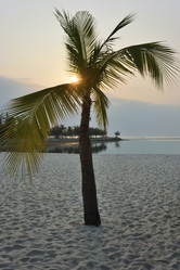 Similar image 21792649