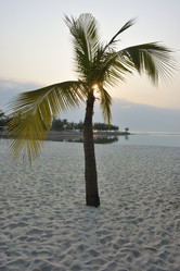 Similar image 21792650