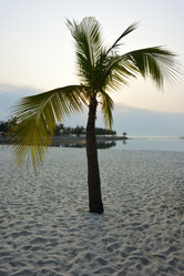 Similar image 21792653