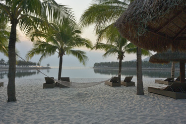 Similar image 21792654