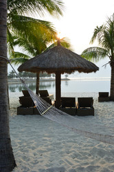 Similar image 21792657