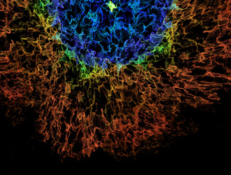 Similar image 21803942