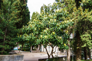 Similar image 21807599