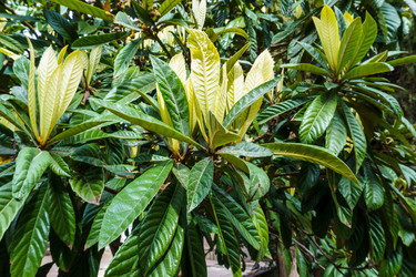 Similar image 21807600