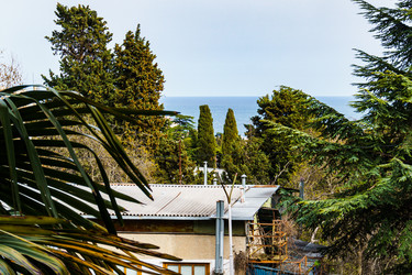 Similar image 21807601