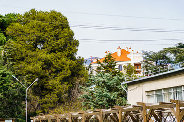 Similar image 21808474