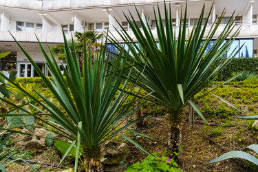 Similar image 21808477