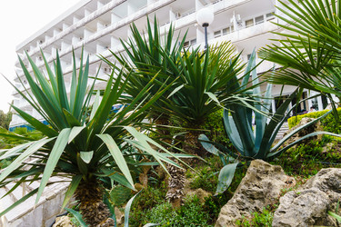 Similar image 21808478