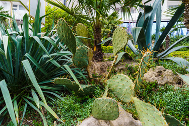 Similar image 21808479