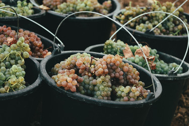 Similar image 21792916