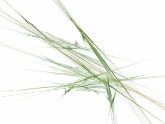 Similar image 21793297