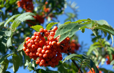 Similar image 21794643