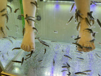 Similar image 21807352