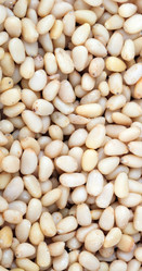 Similar image 21794648