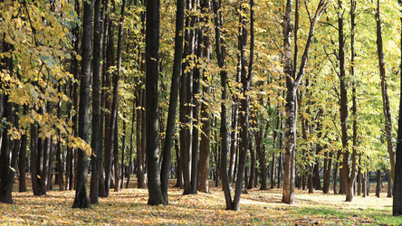 Similar image 21794660