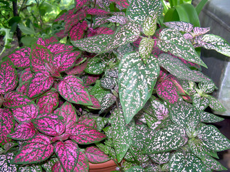 Similar image 21793183