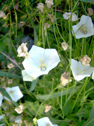 Similar image 21793185