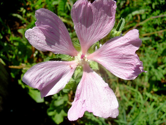 Similar image 21793186