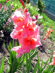 Similar image 21793189